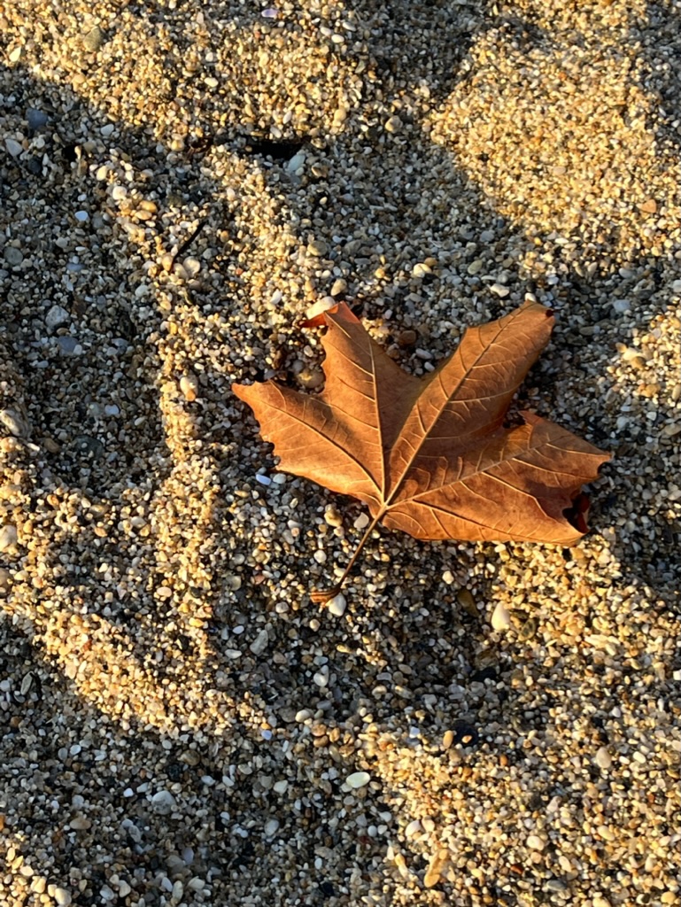 Dezvoltare si aplicatii implementate